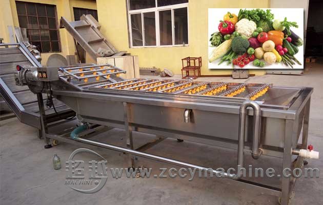 Bubble Fruit and Vegetable Washing Machine for Sale
