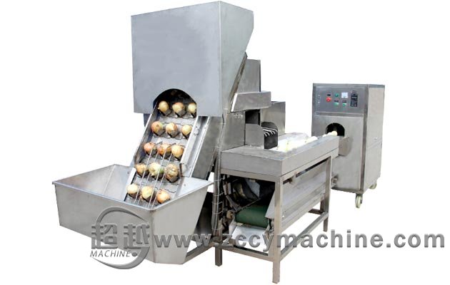 Commercial Onion Peeling Machine