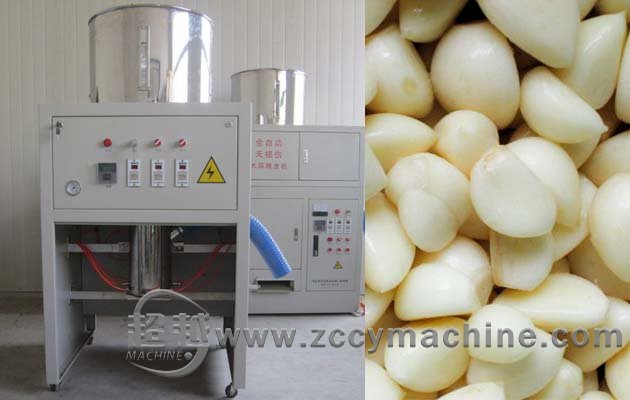 Industrial Garlic Peeling Machine