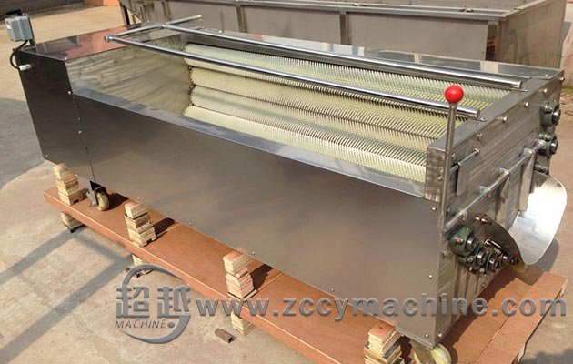 Carrot Cleaning Machine|Carrot Cleaner Brush Type