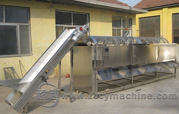 Potato Screening and Sorting Machine for Dates