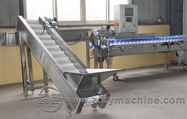 Chicken Feet Weight Sorting Machine|Chicken Leg Grading Machine