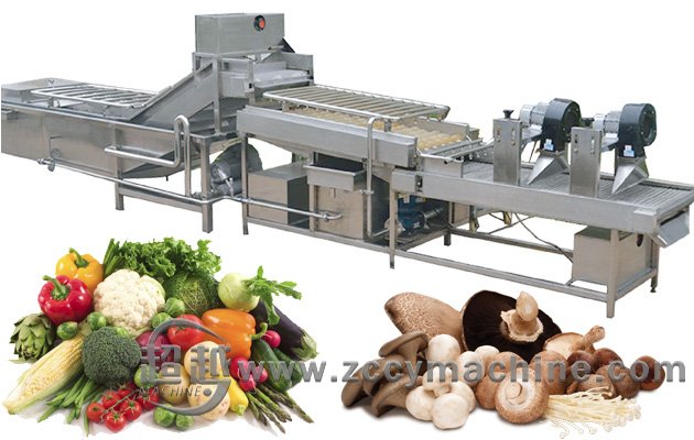 Fruir vegetable washing drying line