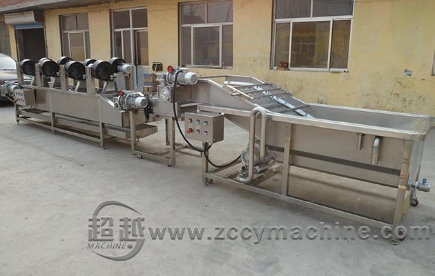 Vegetable Washing Cleaning Machine