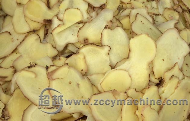 Ginger Slicing Machine