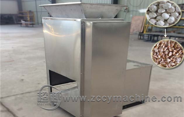Garlic Breaking machine for Sale