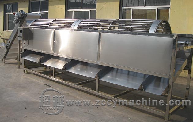 Dates Screening and Grading Machine