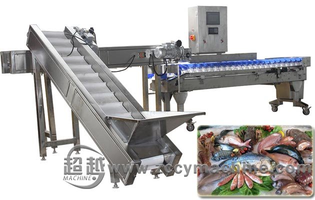 Automatic Fish Weight Sorting Machine