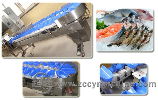 Weight Sorting Machine for Shrimp