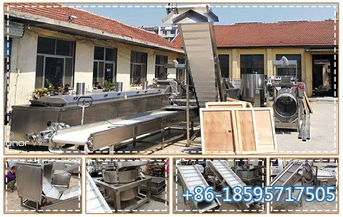 Fully Automatic Banana Chips Making Machine